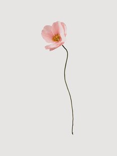 Handgemaakte kunstbloem Windflower