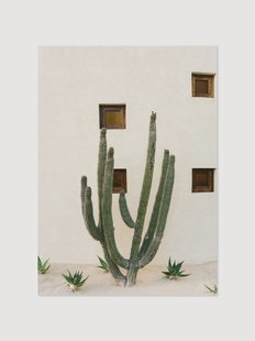 Poster Cabo Cactus IX