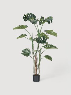 Kunstplant Monstera