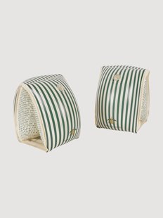 Zwemvleugels Green Stripe, in verschillende maten