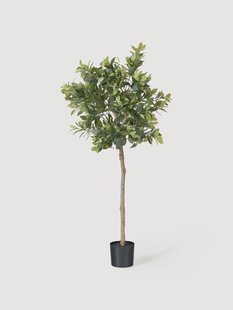 Kunstplant Money Tree