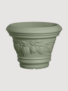 Planter Limoni