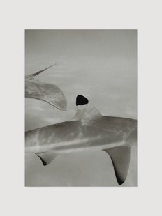 Digitale print Abyssal
