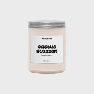 Kosta Boda Mind geurkaars Cactus Blossom, 550 g