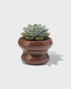 HEMA Bloempot ⌀13x9cm keramiek blob bruin (donkerbruin)