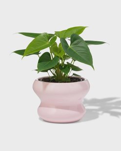 HEMA Bloempot ⌀13x9cm keramiek blob spikkel roze (roze)