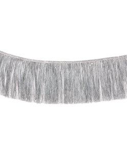 HEMA Slinger 3m franjes zilver (zilver)