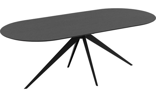 Goossens Excellent Eettafel Uniek, Semi rond 200 x 100 cm
