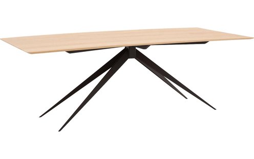 Goossens Excellent Eettafel Uniek, Rechthoekig 220 x 100 cm