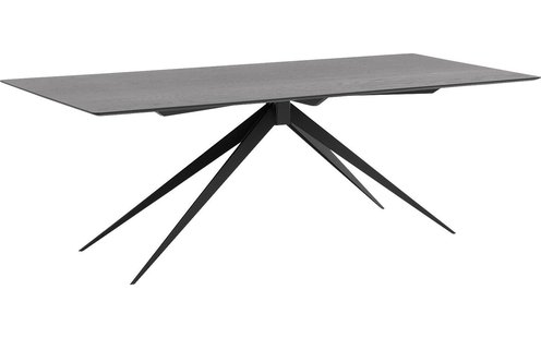 Goossens Excellent Eettafel Uniek, Rechthoekig 240 x 100 cm