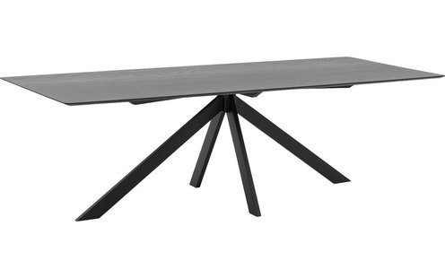 Goossens Excellent Eettafel Uniek, Rechthoekig 260 x 100 cm