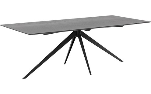 Goossens Excellent Eettafel Uniek, Rechthoekig 220 x 100 cm