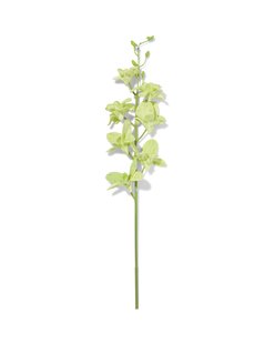 HEMA Kunstbloem dendrobium 55cm rubber groen (groen)
