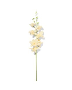 HEMA Kunstbloem dendrobium 55cm rubber wit (wit)