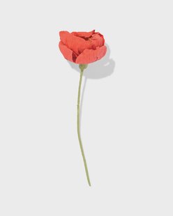 HEMA Kunstbloem klaproos 23cm papier rood (rood)