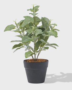 HEMA Kunstplant ⌀10x10cm rechtop (groen)
