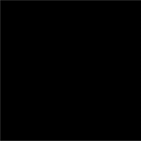 Bresser BR-9 Achtergronddoek 3x6m Zwart