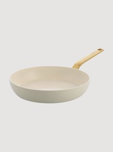 Braadpan Evolution met antiaanbaklaag