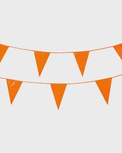 HEMA Vlaggenlijn oranje 10m (oranje)