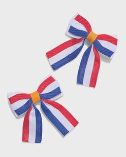 HEMA Haarspeldjes strik Nederland (oranje)