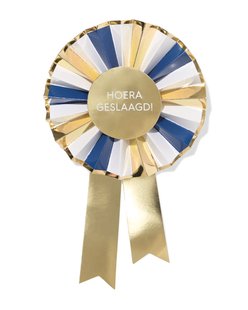 HEMA Broche geslaagd (multi3)