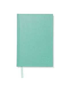 HEMA Schoolagenda 2026-2027 12.5x18cm basis groen (groen)