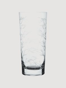 Mondgeblazen kristallen longdrinkglazen Fern, 4-delig