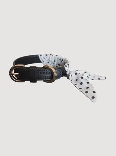 Handgemaakte hondenhalsband Twilly Polka Dots