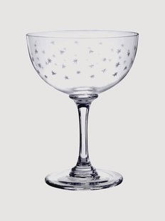Mondgeblazen kristallen champagneglazen Stars, 6-delig