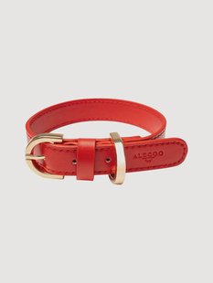 Handgemaakte hondenhalsband Classy