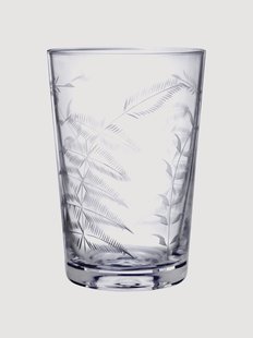 Mondgeblazen kristallen tumblers Fern, 6-delig