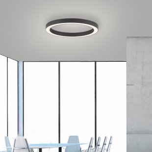 Lines Round LED plafondlamp, grafiet, Ø 50 cm, CCT - PURE PURE Lines Round - Woonkamer - Modern - Metaal - Rond