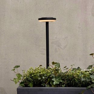 Dyberg Larsen LED tuinpadverlichting Otera 50 cm, grondpen, IP44