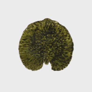 Costa Nova Riviera Alchemille schaal Forest, 18 cm