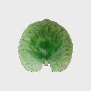 Costa Nova Riviera Alchemille schaal Tomato, 18 cm