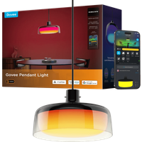 Govee Pendant Light