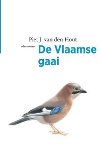 De Vlaamse gaai