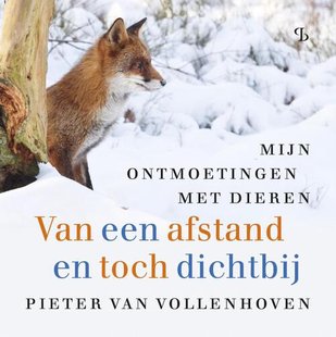 Van een afstand en toch dichtbij