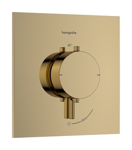 Afbouwdeel Hansgrohe Ecostat Comfort E Inbouwthermostaat Voor 1 Functie Goud