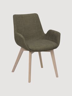 Gestoffeerde armstoelen Drake, 2-delig
