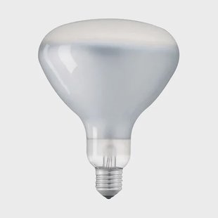 Flos LED R125 lichtbron E27 2700K 1180lm 12W