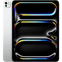13'' iPad Pro 2TB Wifi