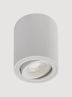 Plafondspot Argo Pivot