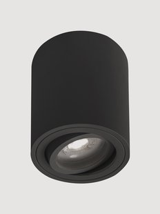 Plafondspot Argo Pivot