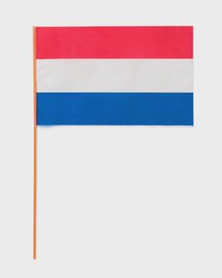 HEMA Zwaaivlag 39x27.5cm Nederland (oranje)