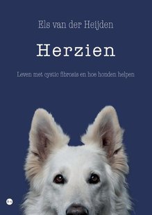Herzien