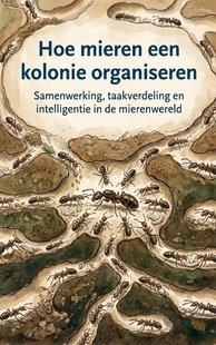 Hoe mieren een kolonie organiseren