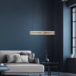E-Loop LED hanglamp, ivoorkleurig goud, Ø 50 cm, aluminium, CCT - PURE PURE E-Loop - Woonkamer - Modern - Metaal - Meerdere lampen