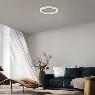 Lines LED plafondlamp, Ø 50 cm, wit CCT, afstandsbediening - PURE - Woonkamer - Modern - Metaal - Rond