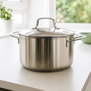 Beka Kookpan Maestro RVS met deksel ø 24 cm / 5.1 liter - geschikt voor alle warmtebronnen